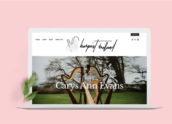 digital fox artist website design