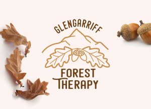 graphic design west cork glengarriff forest therapy logo and website design